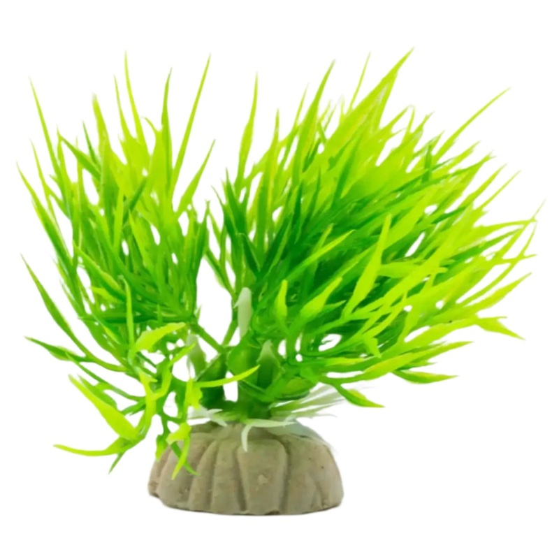 AquaSpectra Eleocharis Plant Green 8cm