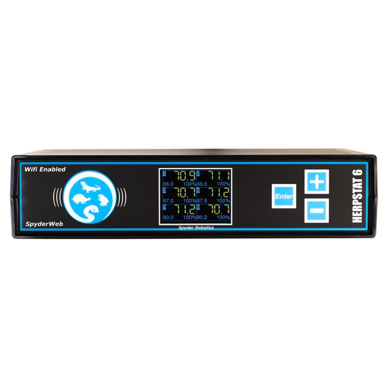 Herpstat 6 SpyderWeb