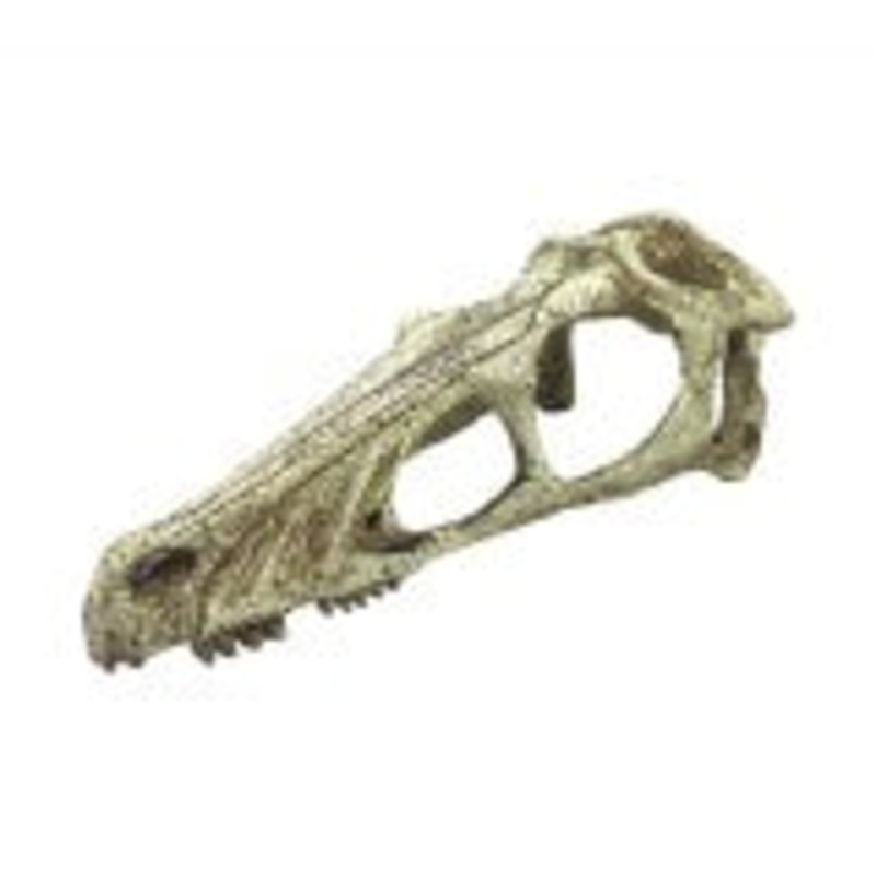 Komodo Raptor Skull Hide LG 9.4in