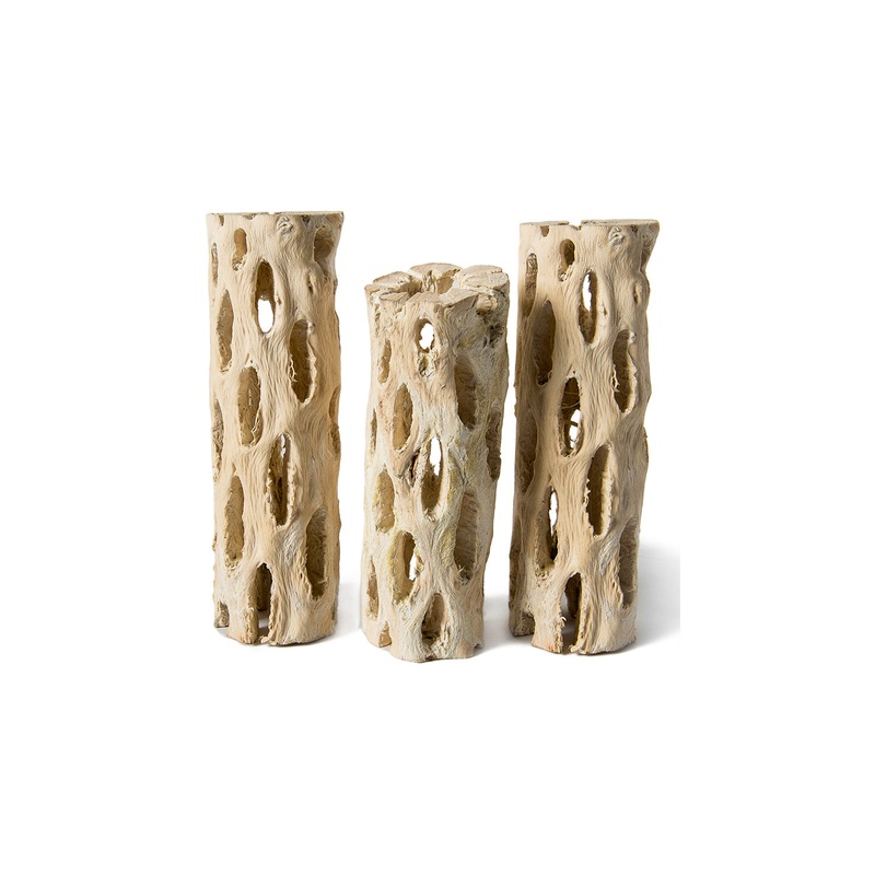 Cholla Wood Branches 6 inches (3-Pack)