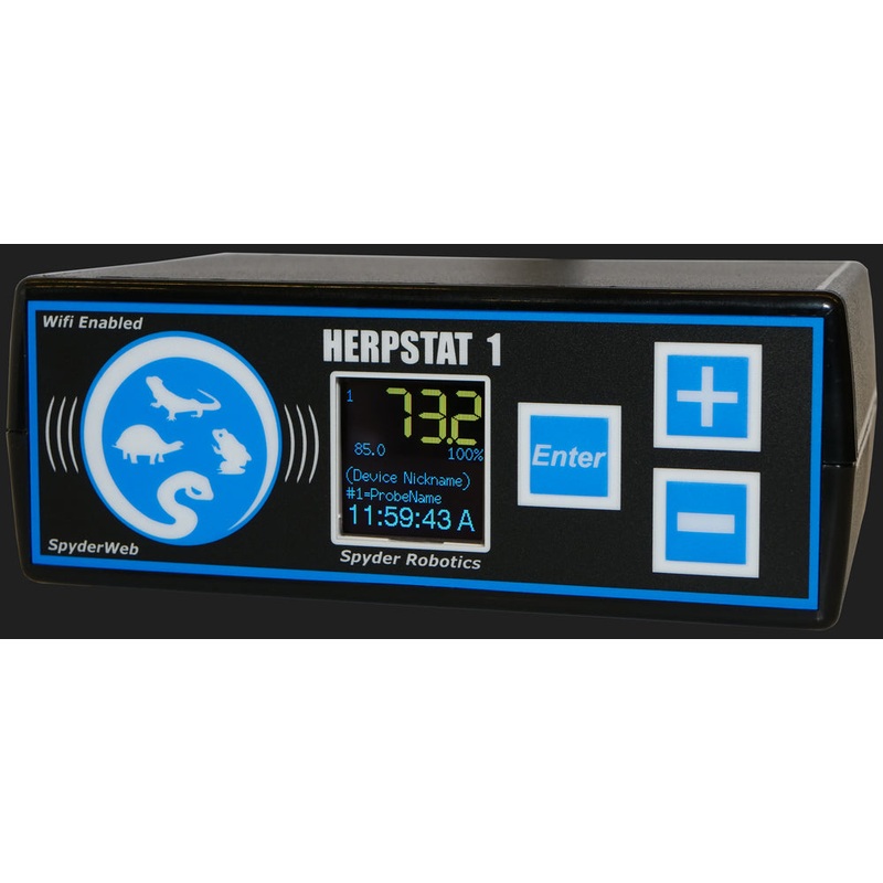 Herpstat 1 spyderweb
