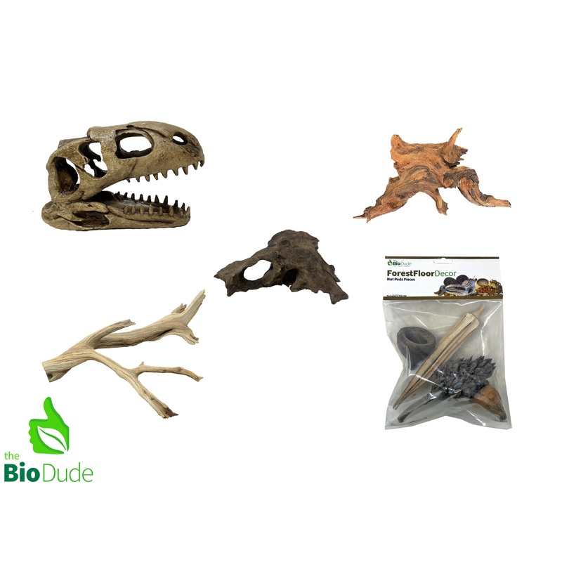 T-Rex Decor Kit Small