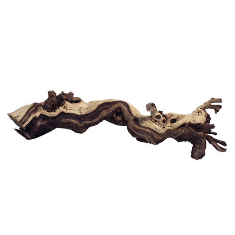 ZOO MED Premium Sand Blasted Grapevine Small