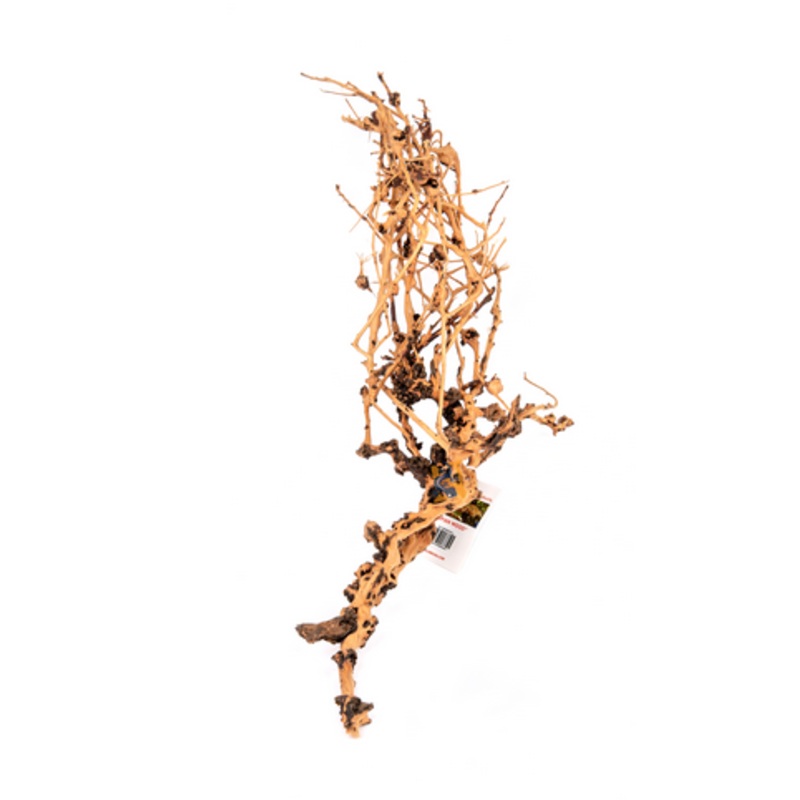 Aquaglobe Thorn Devil (Special Order Product) Large 12-14″