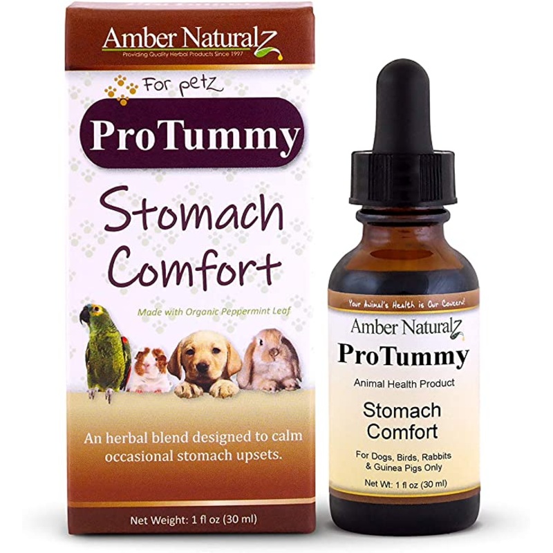 Amber Naturalz ProTummy: Stomach Comfort – Digestive Support for Pets, 1 Ounce