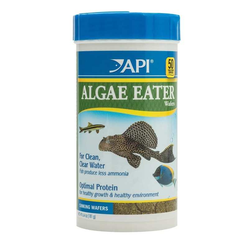 API Algae Eater Wafers 181gm