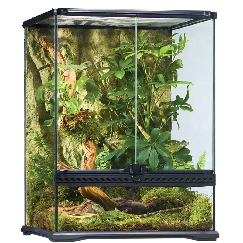 Warehouse Pickup Only – Exo Terra 18″x18″x24″ Glass Terrarium
