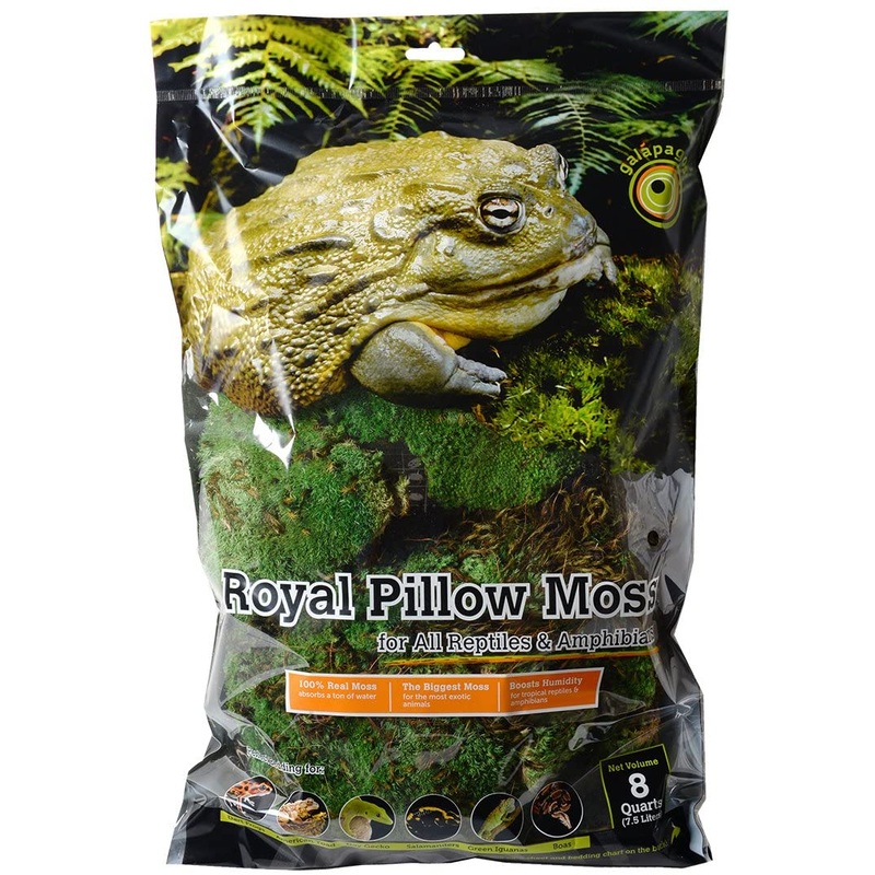 Galapagos Royal Pillow Moss 150 cubic inches