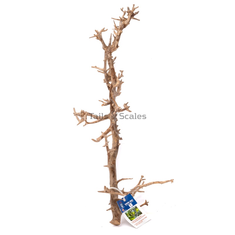 Aquaglobe Pandora Wood (Clearance- Final Sale)