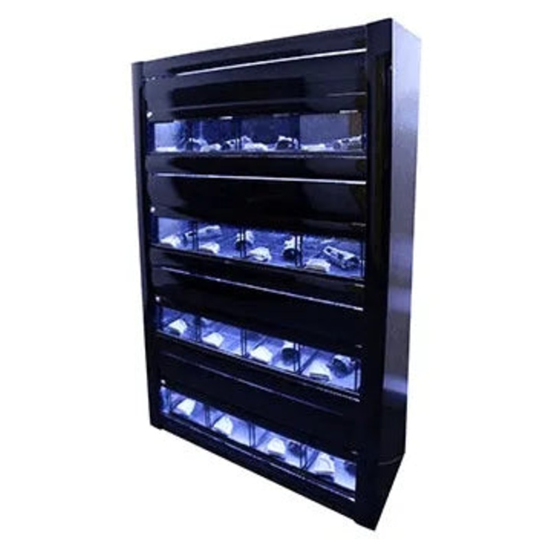 Reptile One Hatchling Reptile Snake Rack