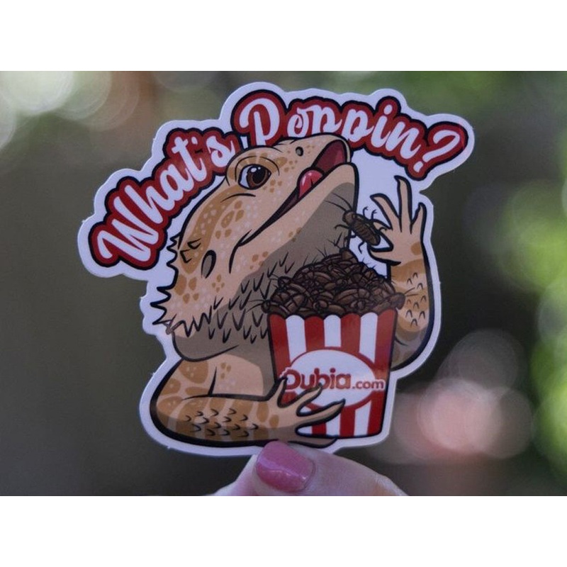 What’s Poppin Sticker Die-Cut