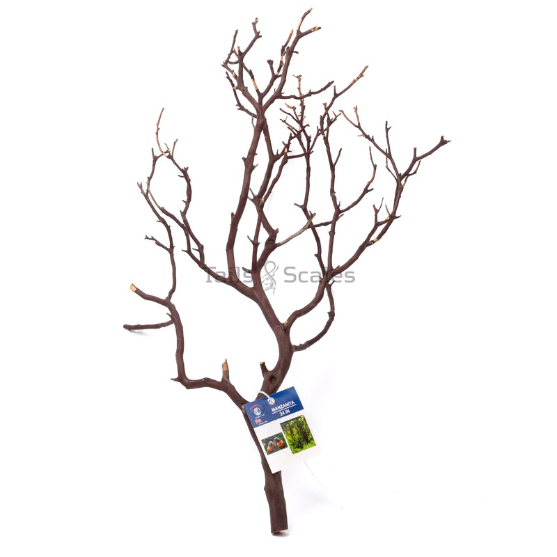 Aquaglobe Manzanita Branch