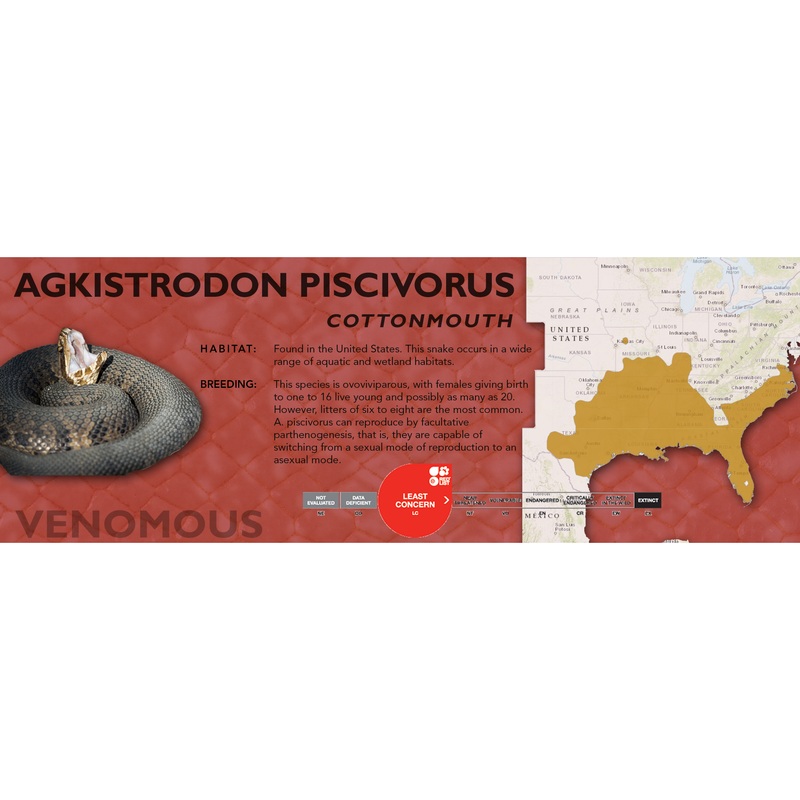 Cottonmouth (Agkistrodon piscivorus) Classic Vivarium Label None Original