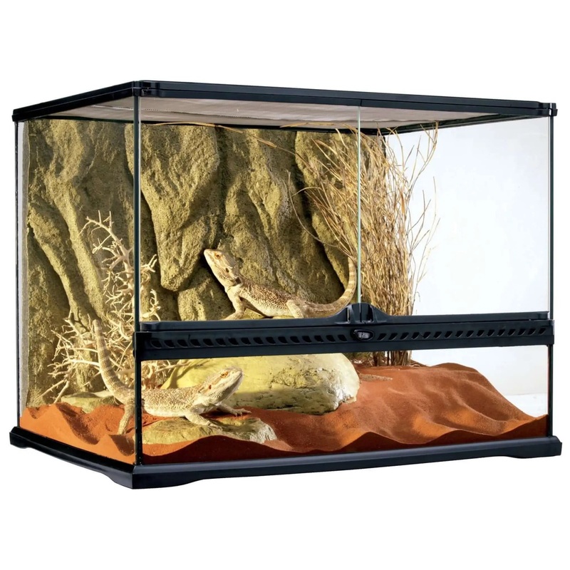 Exo Terra Glass Terrarium Medium Wide – 60x45x45cm