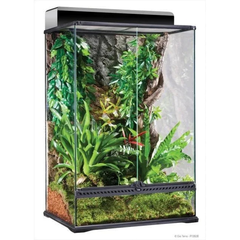 Exo Terra Medium X-Tall Terrarium