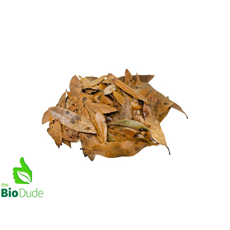 Bio Dude Leaf Litter – Live Oak