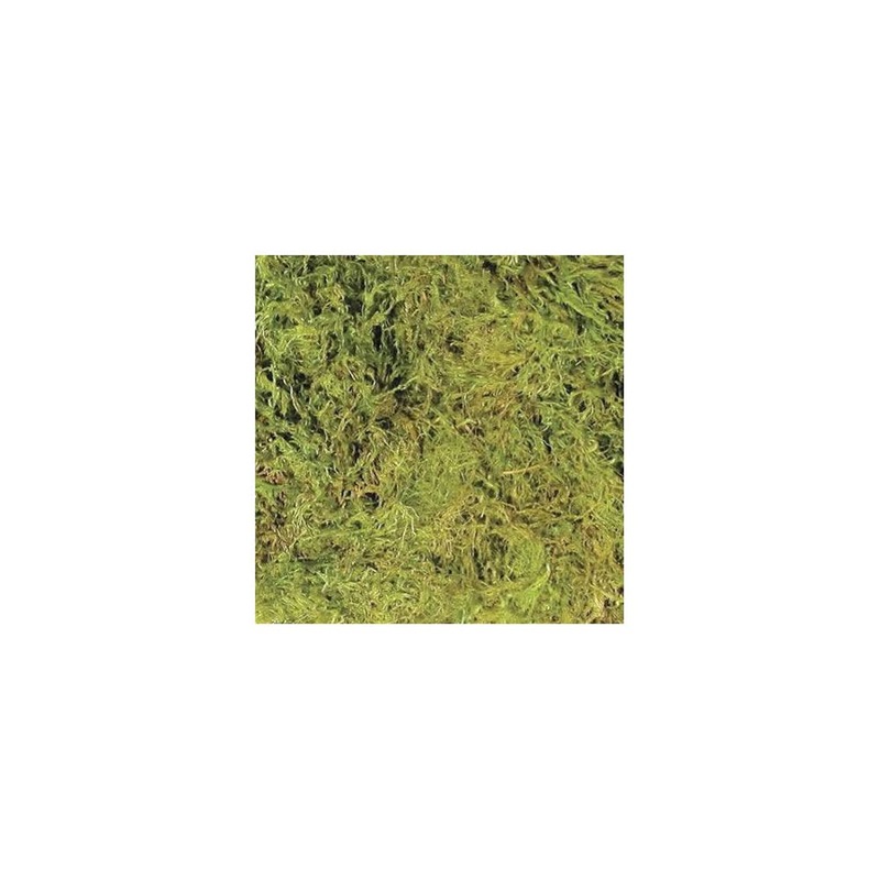 Zoo Med Terrarium Moss Large 3.28L