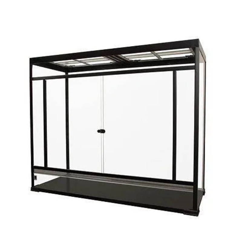 Budget Terrarium Tall Giant