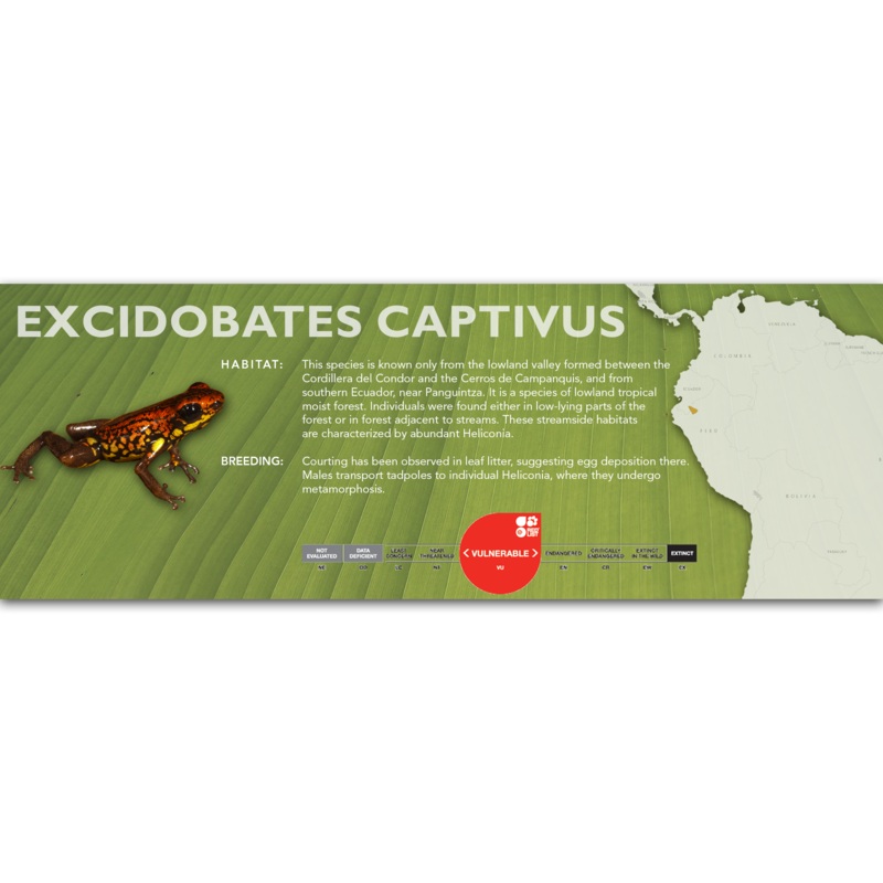 Excidobates captivus – Classic Vivarium Label