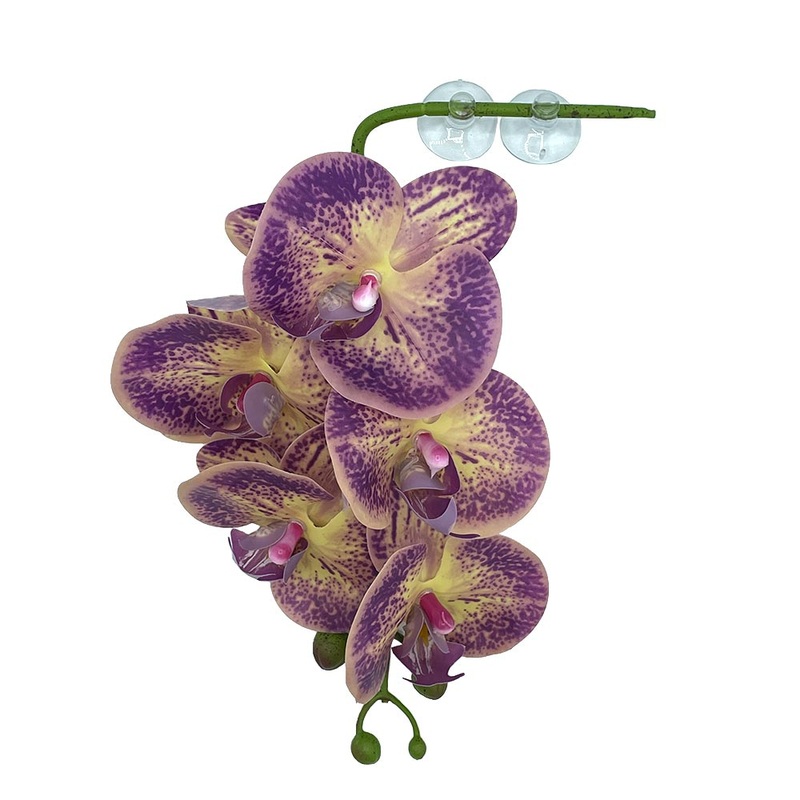 Pangea Hanging Orchids – Purple and Yellow