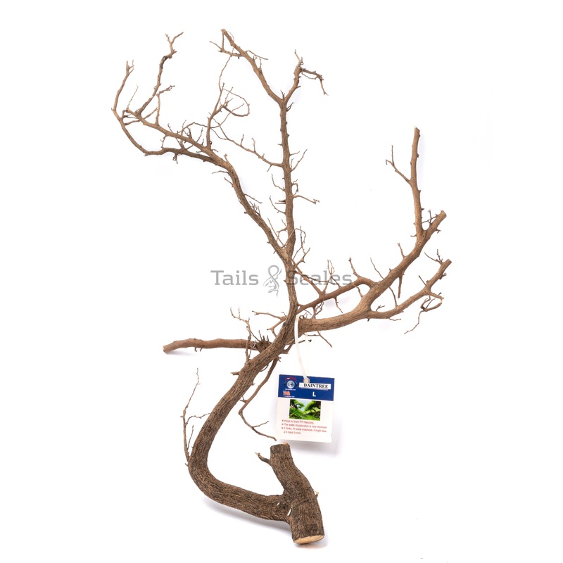 Aquaglobe Daintree Wood (Clearance- Final Sale)
