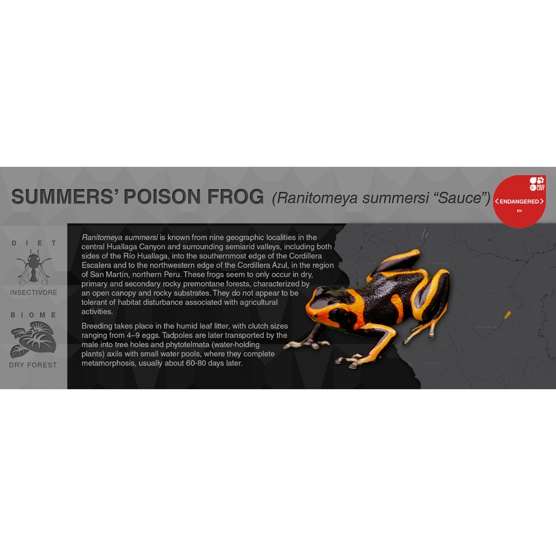 Ranitomeya summersi – Black Series Vivarium Label Sauce Black