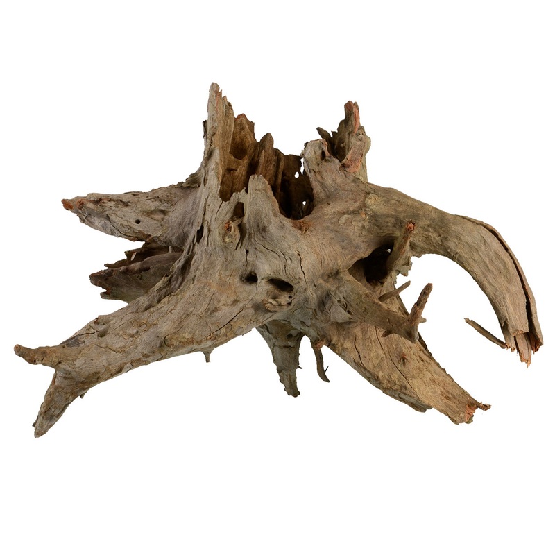 Underwater Treasures Eucalyptus Root Med