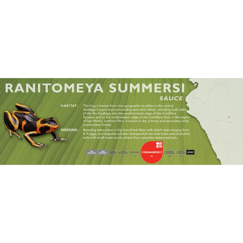Ranitomeya summersi – Classic Vivarium Label Sauce