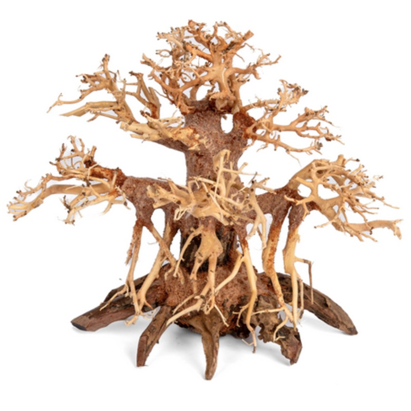 Aquaglobe Octopuswood