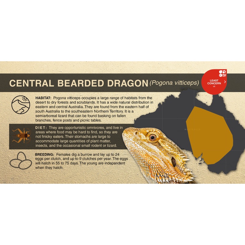 Central Bearded Dragon (Pogona vitticeps) – Aluminum Sign No SmartShield