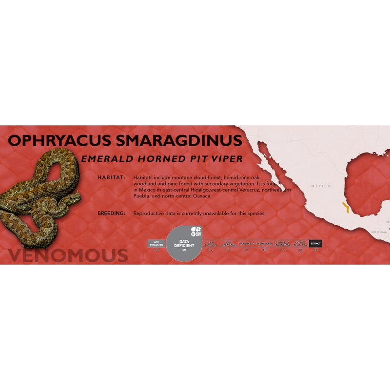 Emerald Horned Pit Viper (Ophryacus smaragdinus) Classic Vivarium Label Original