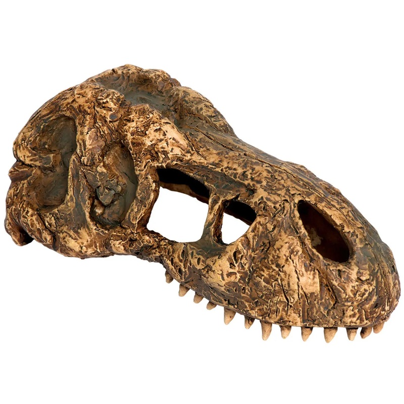 Exo Terra T-Rex Skull Standard
