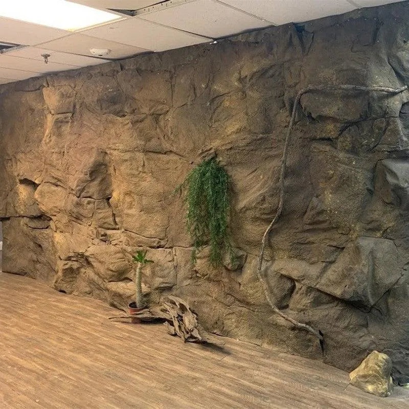 Universal Rock Malawi Rock Background Panel