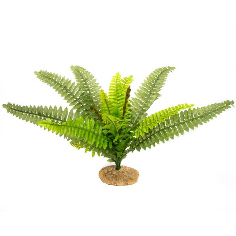 Aquaglobe Silk Fern Leaf (Special Order Product)
