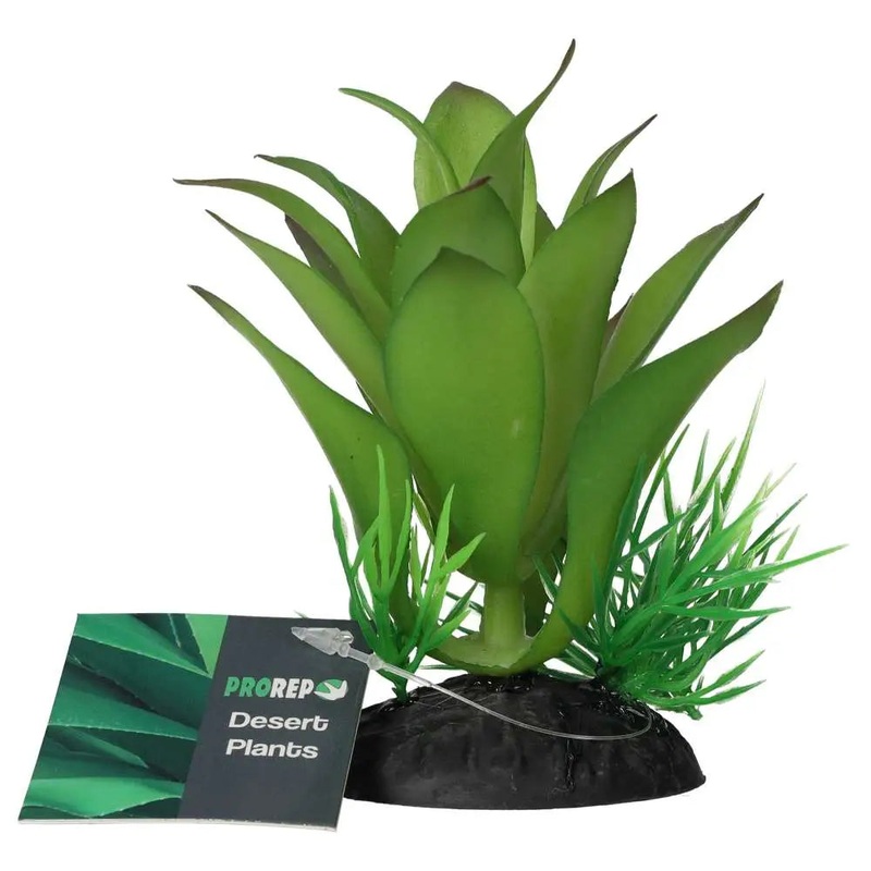 ProRep Sanseviria Plant