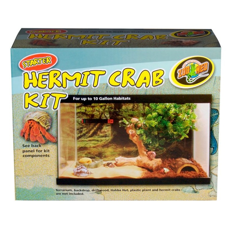 ZM Starter Hermit Crab Kit