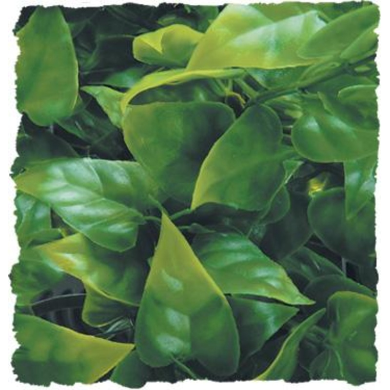 Zoo Med Naturalistic Flora – Mexican Phyllo Small (10″ long)