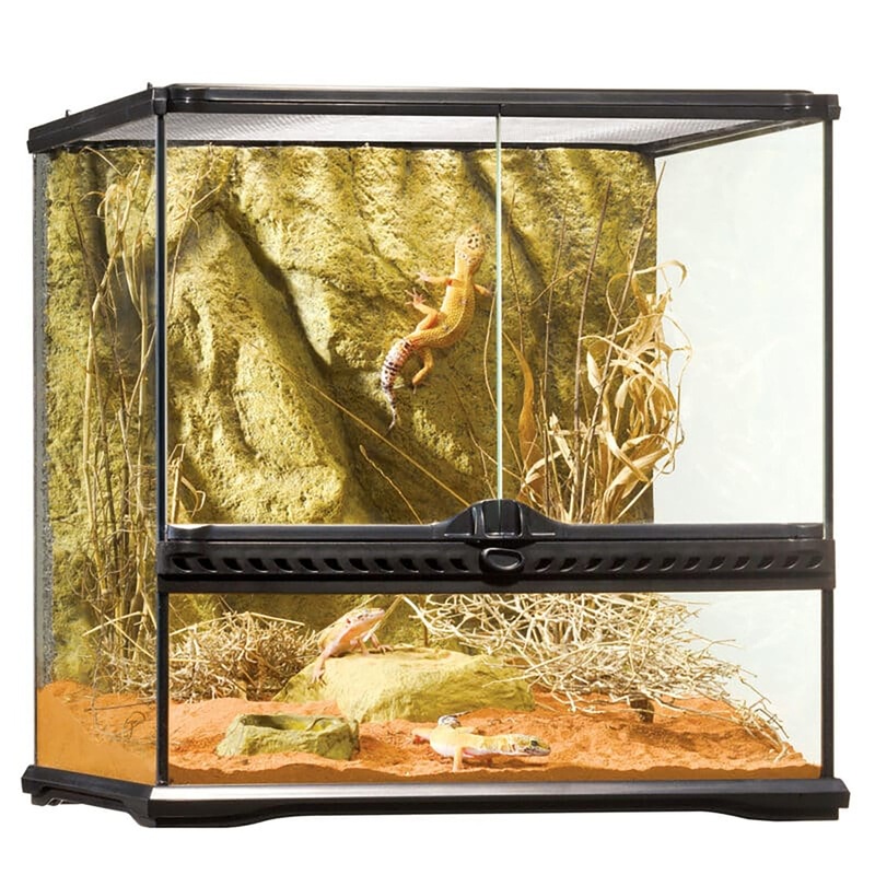 Warehouse Pickup Only – Exo Terra 18″x18″x18″ Glass Terrarium