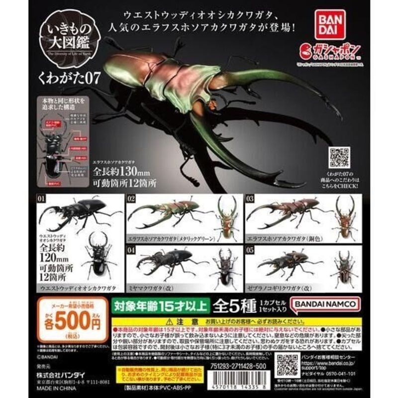 [Bandai Capsule] The Diversity Of Life On Earth Stag Beetle 07 – Random Signal Type 1 at ramdom