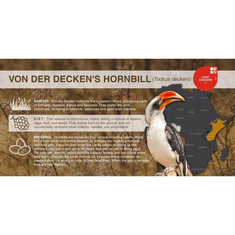Von der Decken’s Hornbill (Tockus deckeni) – Aluminum Sign No SmartShield