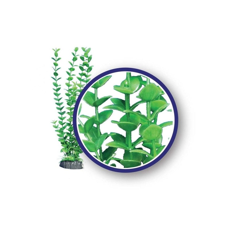 Weco Products Freshwater Series Bacopa Aquarium Plant Green, 1ea/18 in