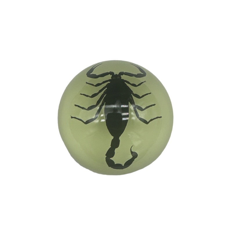 Black Scorpion  – Specimen In Resin W/ Glow In The Dark Base