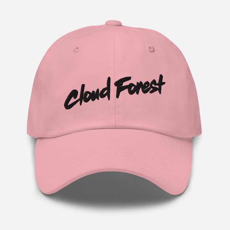 Cloud Forest Alternate Wordmark Pastel Collection Dad hat Stone
