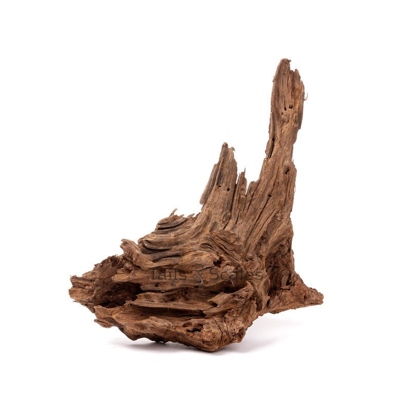 Aquaglobe Malaysian Driftwood