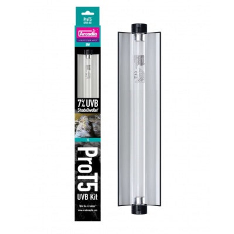 Arcadia Shade Dweller D3 7% UVB T5 Bulb + Fixture 12″