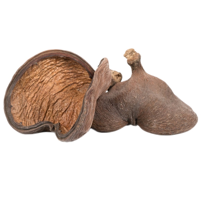 Dark Nut Pod