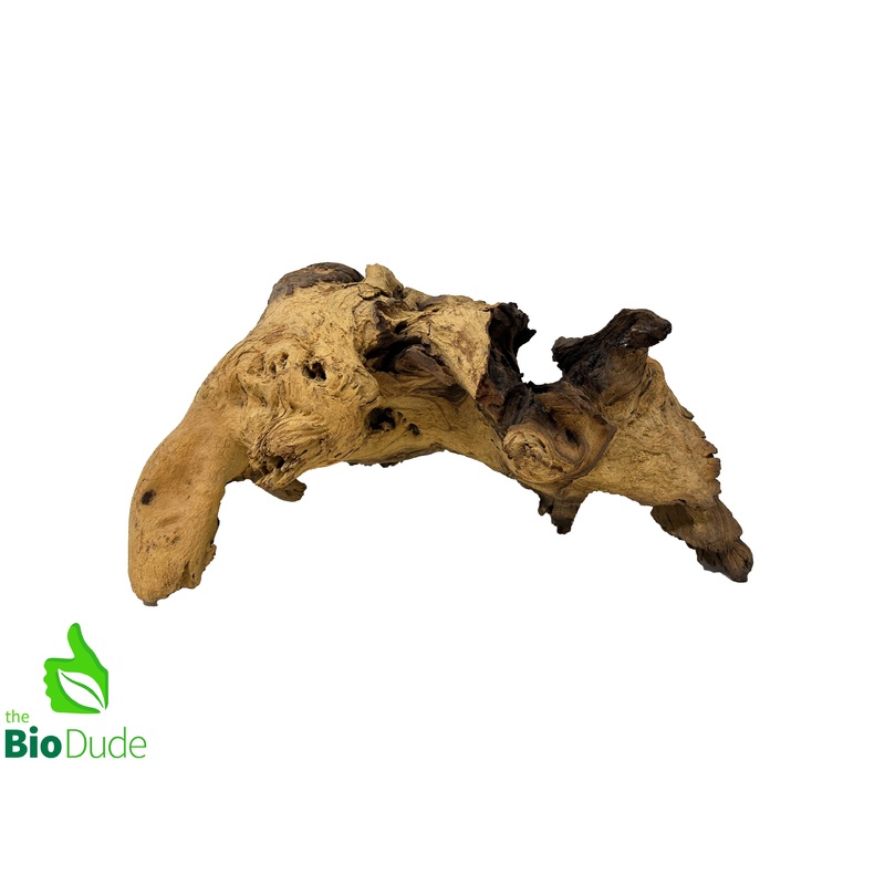 Mopani Root Wood Small 6″ -8″