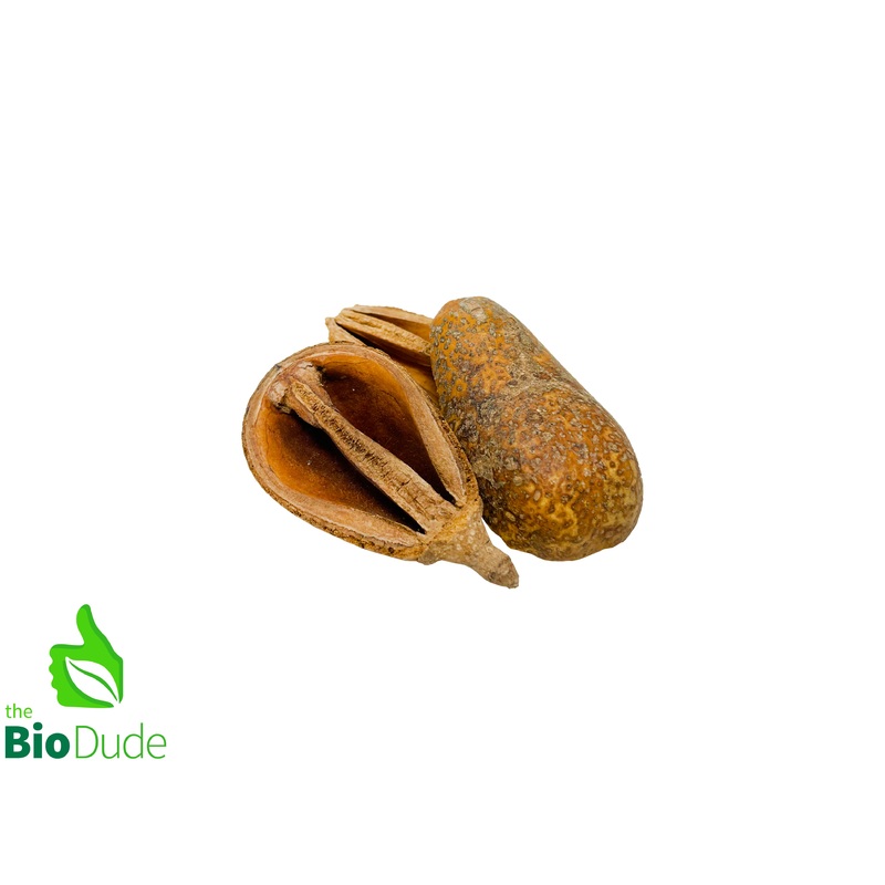 Pear Pod 3 pack