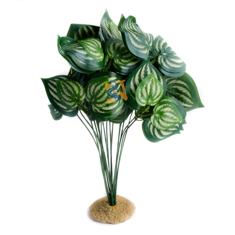 Aquaglobe Silk Melon 14″