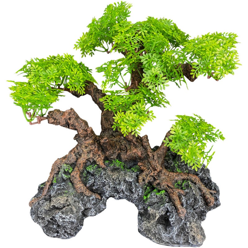 Komodo Bonsai Tree Hide
